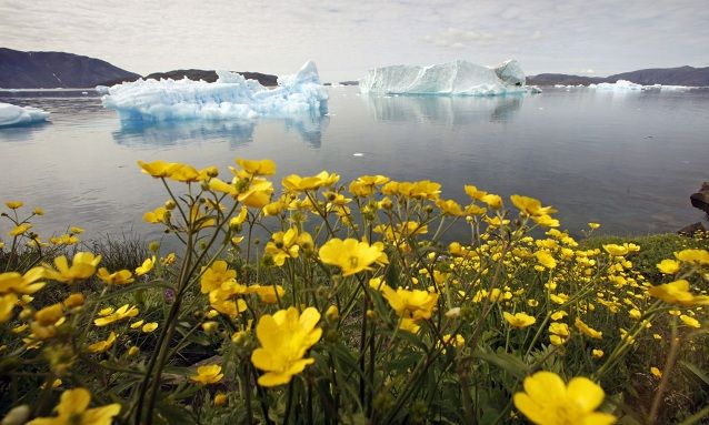 10 ting du ikke visste om Grønland