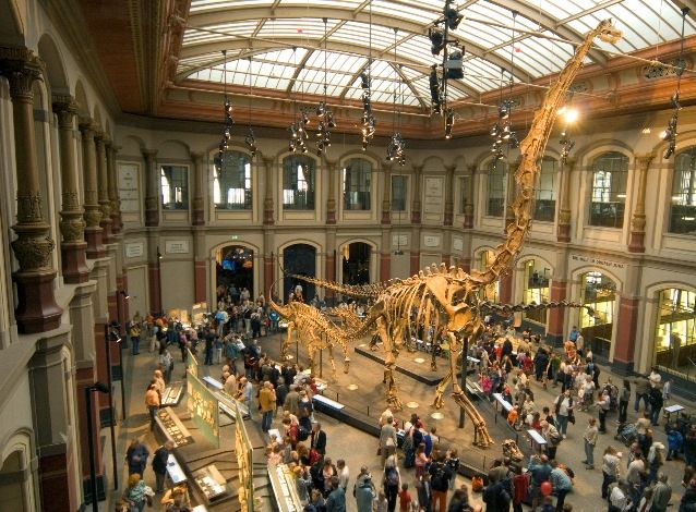 10 incríveis museus de dinossauros