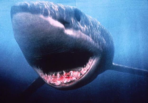 Top 10 rechini înfricoșători
