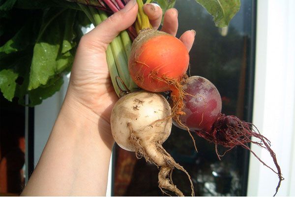 14 merkelige grønnsaker som ikke fortjener bøndernes oppmerksomhet