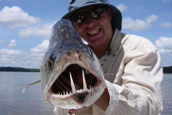 As 7 bocas mais terríveis e estranhas do reino animal
