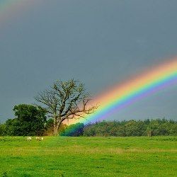 Sétimo удивительных фактов о радуге