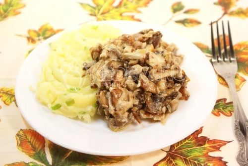 hvit грибы в сметане с картофелем