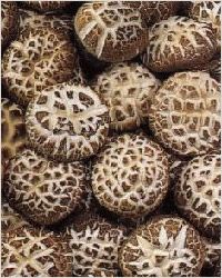 Shiitake, грибы шиитаке