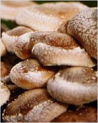 Cogumelos шиитаке
