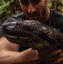 Lebende frau frisst anaconda Krokodil frisst