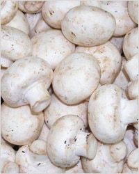 Cogumelos шампиньоны