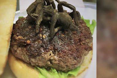 hamburger с тарантулом