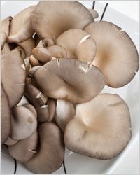 Cogumelos вешенки
