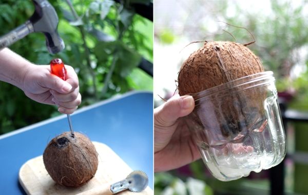 Jak otevřít kokosový ořech
