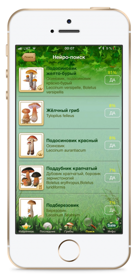 Aplikacja энциклопедия грибов с распознаванием по изображению (с использованием искусственного интеллекта)