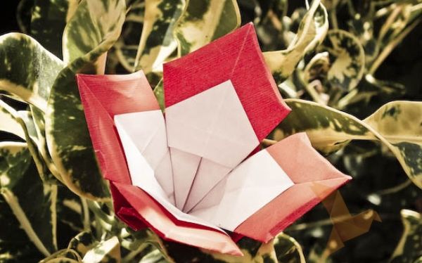 Jak zrobić kwiaty origami z papieru