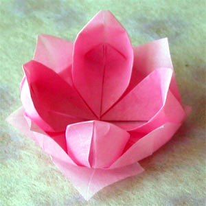 Jak vyrobit origami květiny z papíru