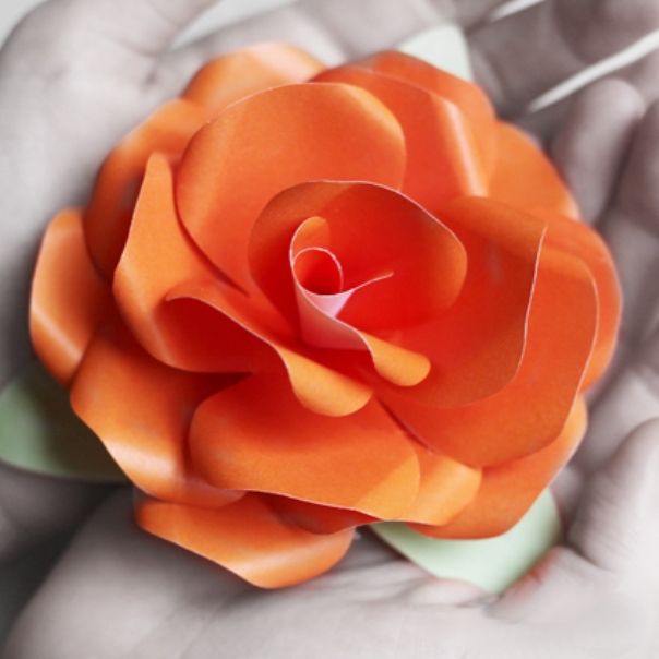 Jak vyrobit růže z papíru