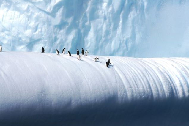 Como a Antártica parece sem gelo?