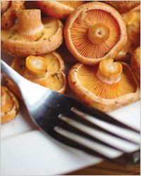 Které houby jsou konzumovány syrové