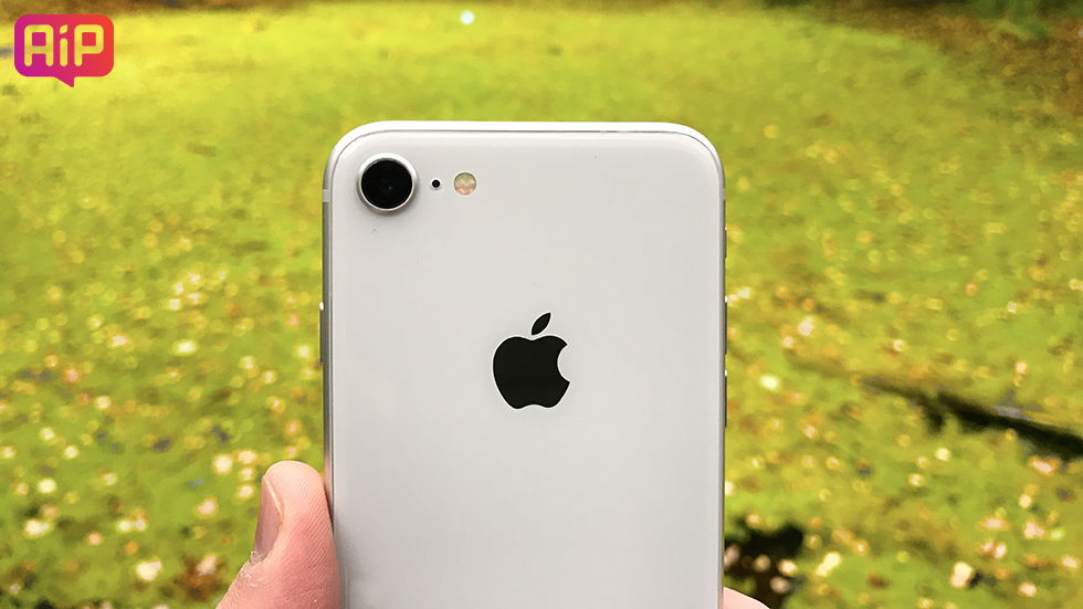 Což цвет iPhone 8 или iPhone 8 Plus выбрать