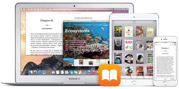 Które формат книг на iPhone и iPad