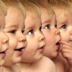 clonarea человека: за и против