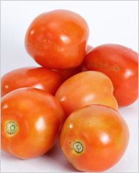moden помидоры