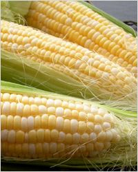 Kukuřice: царица полей 