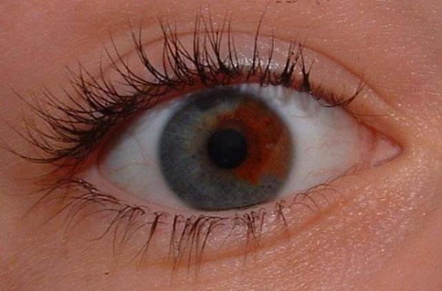 Folk med brune øyne er mer pålitelige og andre fakta om øynene