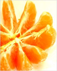mandariner: новогоднее настроение