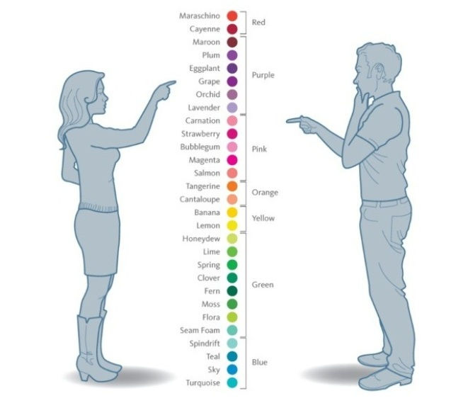 Männer und Frauen sehen Farben auf unterschiedliche Weise