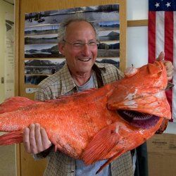 Pe Аляске поймали самую большую рыбу, которой больше 200 лет 