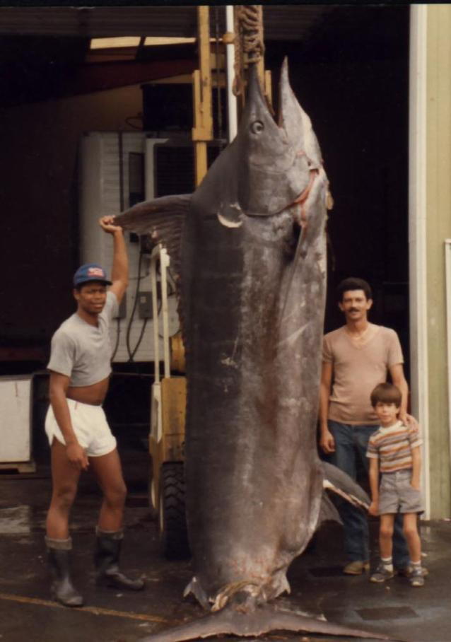 Alaska fanget den største fisken, som er over 200 år gammel