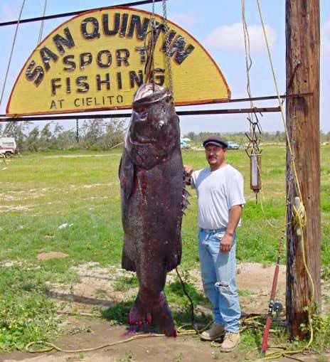 Alaska hat den größten Fisch gefangen, der mehr als 200 Jahre alt ist