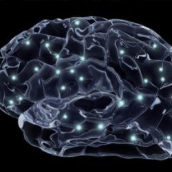 utrolig факты о человеческом теле. Мозг