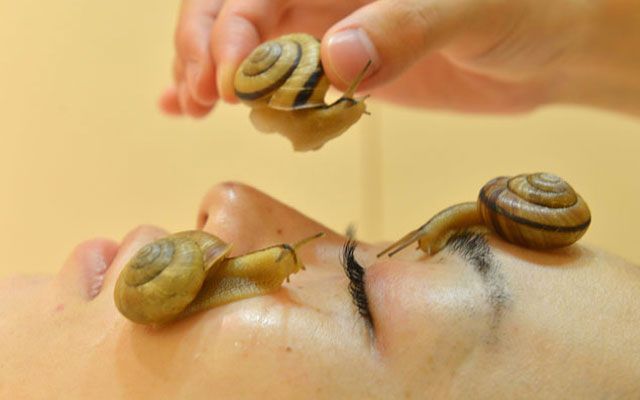 Nové tajemství věčné mládeže: masáž obličeje .. slimáky