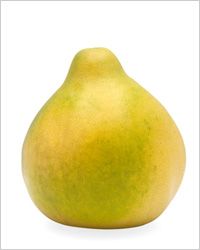 Pomelo - giant de citrice