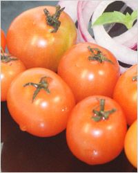 Pomidory черри