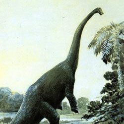 Revelado секреты питания травоядных динозавров