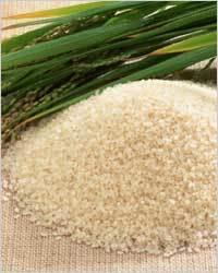 Rice: сарацинское зерно