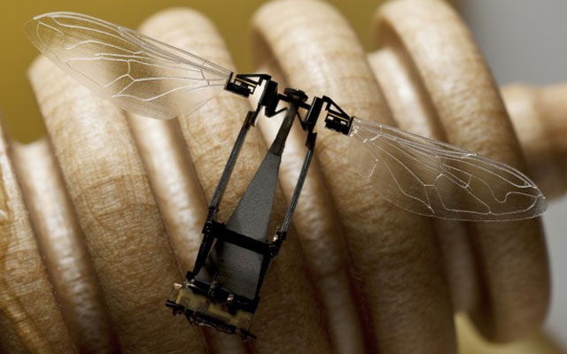 Die kleinsten Technologien aus dem Guinness-Buch der Rekorde