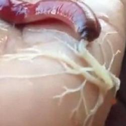 Najbardziej жуткий червь с неожиданной уловкой