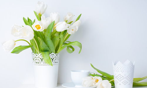 Branco тюльпаны на столе