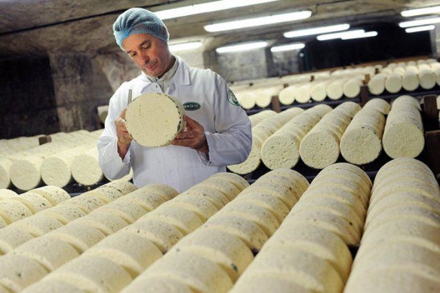 Roquefort-Käse ist das Geheimnis der französischen Langlebigkeit