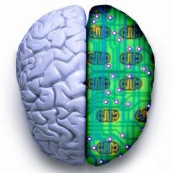 Hvor mange мегабайт вмещает человеческий мозг?