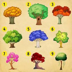 Test: Выберите дерево и узнайте, какие перемены вас ждут в Новом году 