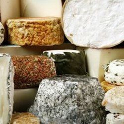 Topp 15 самых дорогих сыров в мире