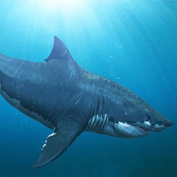 Top 12 доисторических морских чудовищь