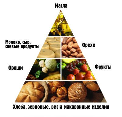 Vegetariano пищевая пирамида