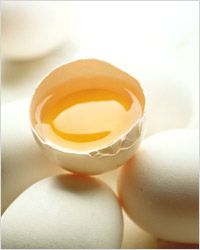 Kurczak яйца, разбитое яйцо