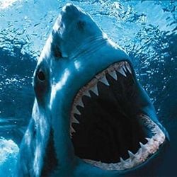 Tajemniczy морской монстр съел 3-метровую акулу-людоеда