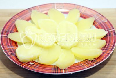 kotelett картофель кружочками выложить на плоское блюдо